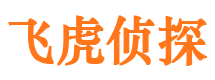 宽城市婚姻调查